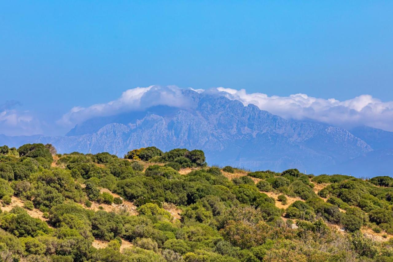 Large Terrace, Swimming Pool, Private Garage And Fiber Apartamento Tarifa